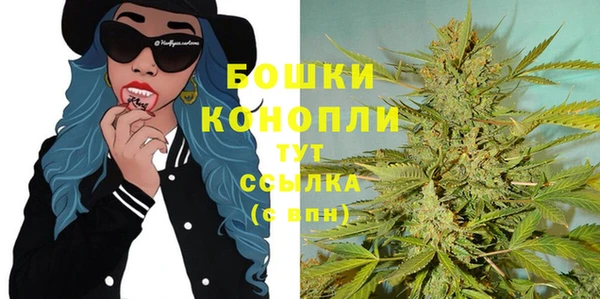 ПСИЛОЦИБИНОВЫЕ ГРИБЫ Покров