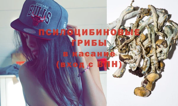 СК Абдулино
